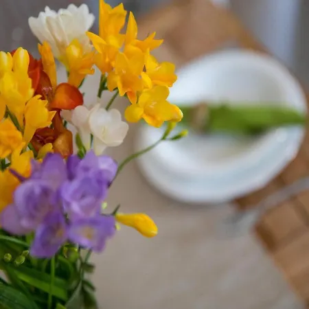 City Holiday Apartment *